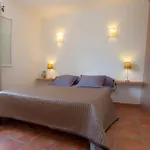 Le Capu Biancu-location Avec Vue Proche Des Gorges De L Asco Entre Et Montagne *