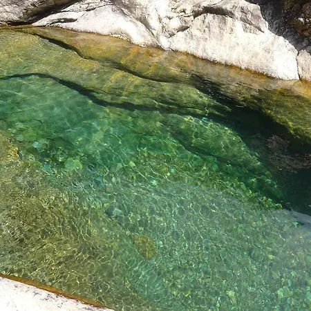 Le Capu Biancu-location Avec Vue Proche Des Gorges De L Asco Entre Et Montagne Appartement