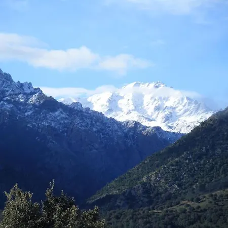 Le Capu Biancu-location Avec Vue Proche Des Gorges De L Asco Entre Et Montagne *