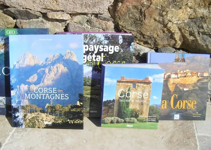 Le Capu Biancu-location Avec Vue Proche Des Gorges De L Asco Entre Et Montagne
